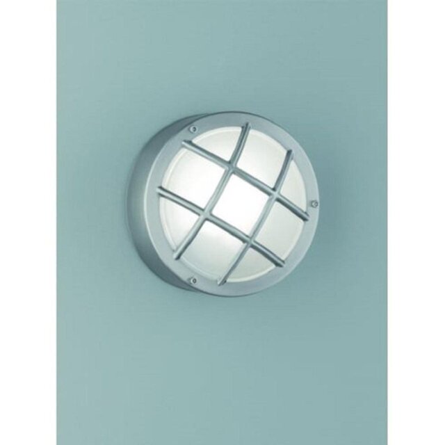 Franklite EXT6620 Flush Light With Satin Glass In Stainless Steel And Cage Style Front