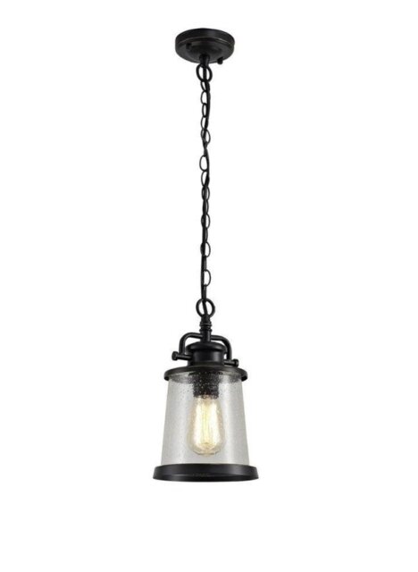 Oslo 1 Light Exterior Ceiling Pendant In Black Gold And Clear Glass