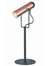 Franklite Spot Desk Lamp In Black And Copper Finish TL606