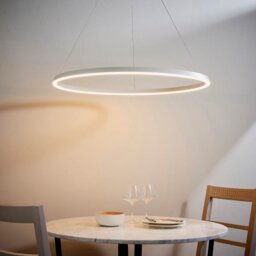 Endon 80629 Stalen LED Ceiling Pendant light In Matt White Finish