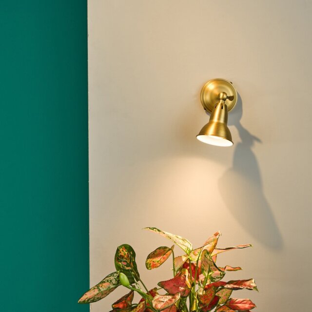 Dar Lighting NAT0742 Nathaniel Single Wall or Ceiling Spotlight in Aged Brass Finish