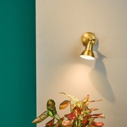 Dar Lighting NAT0742 Nathaniel Single Wall or Ceiling Spotlight in Aged Brass Finish