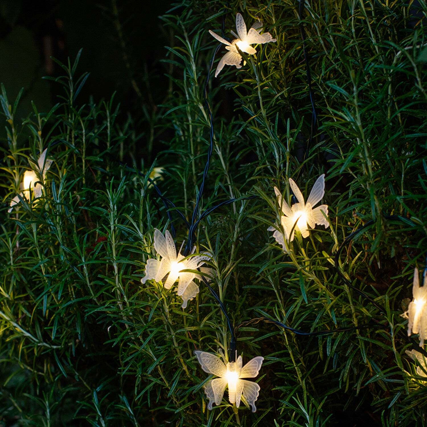 10 Butterfly LED Solar Fairy Lights - image 1