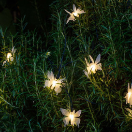 10 Butterfly LED Solar Fairy Lights - thumbnail 1