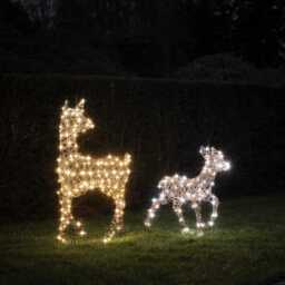Dual LED Studley Doe & Fawn Light Up Reindeer Duo - thumbnail 2