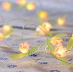 20 Mini Rose LED Micro Lights - thumbnail 1