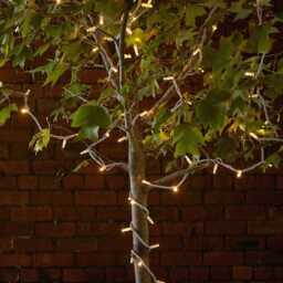 Pro Connect 200m 2000 Traditional Warm White Connectable String Lights White Cable