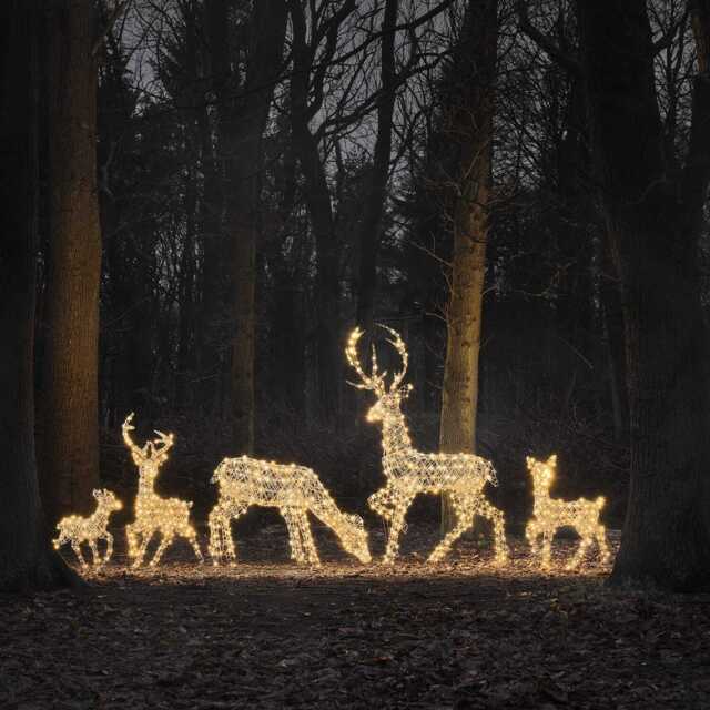 Dual LED Studley XL Light Up Reindeer Family - image 1