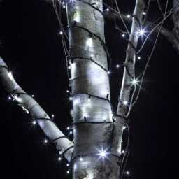 Plus Connect 10m 100 White Connectable Fairy Lights Black Cable - thumbnail 2