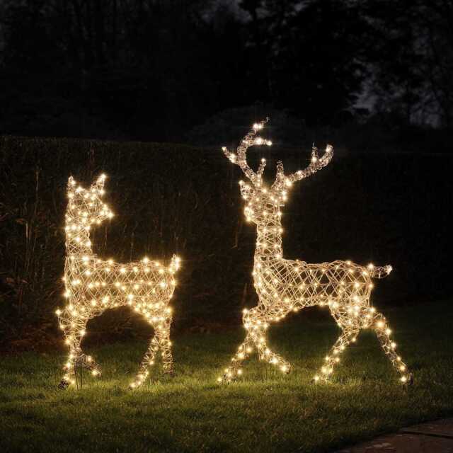 Dual LED Studley Stag & Doe Light Up Reindeer Duo - image 1