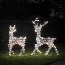 Dual LED Studley Stag & Doe Light Up Reindeer Duo - thumbnail 2