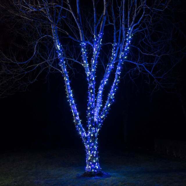 Pro Connect 15m 150 Blue & White Connectable String Lights Black Cable - image 1