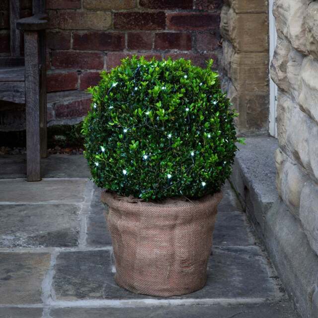 60 White LED Topiary Outdoor Battery Net Light - image 1
