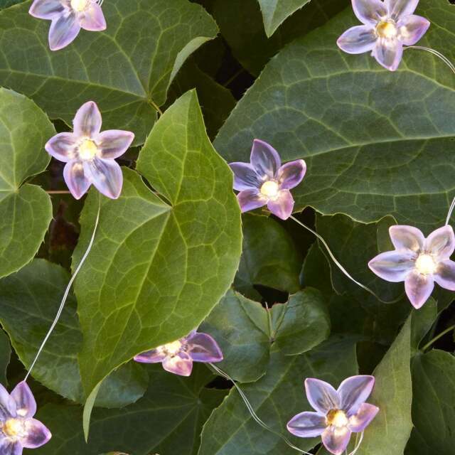 20 Flower Outdoor Micro Fairy Lights - image 1