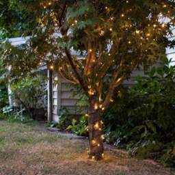 200 Warm White LED Outdoor Battery Fairy Lights On Green Cable - thumbnail 1