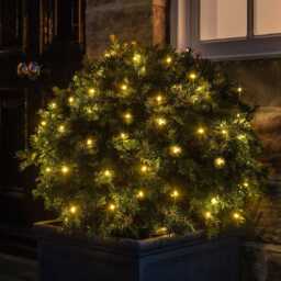 100 Warm White LED Outdoor Battery Fairy Lights On Green Cable