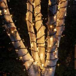 Plus Connect 15m 150 Warm White Connectable Fairy Lights Black Cable - thumbnail 2