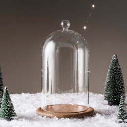 Regular Glass Dome Bell Jar 20cm - thumbnail 2