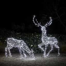 Large Solar Powered Studley Rattan Stag & Doe Dual Colour LED Light Up Reindeer - thumbnail 1