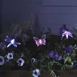 3 Butterfly, Dragonfly And Bird Solar Stakes - thumbnail 1