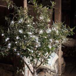 100 White LED Outdoor Battery Fairy Lights On Clear Cable - thumbnail 2