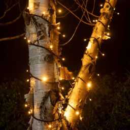Pro Connect 105m 1050 Traditional Warm White Connectable String Lights Black Cable - thumbnail 2
