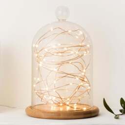 50 Warm White LED Copper Outdoor Micro Fairy Lights - thumbnail 2