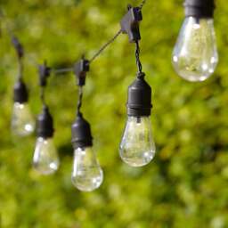 15 Drop Bulb Battery Festoon Lights - thumbnail 2