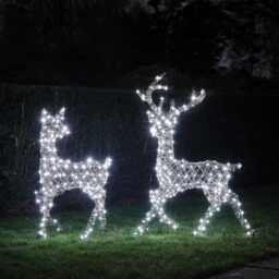 Solar Powered Studley Stag & Doe Dual Colour LED Light Up Reindeer Duo - thumbnail 1