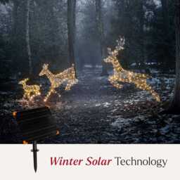 Solar Powered Regular Harlow Rattan Doe & Fawn Dual Colour LED Light Up Reindeer - thumbnail 2