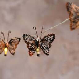 10 Butterfly Solar Fairy Lights - thumbnail 2