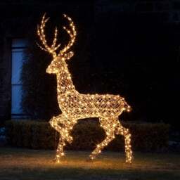 2m Studley Rattan Stag Light Up Reindeer 24v - thumbnail 1