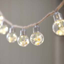 10 Daisy Micro Battery Festoon Lights