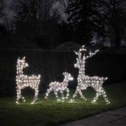 Dual LED Studley Light Up Reindeer Family - thumbnail 2