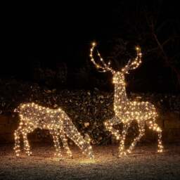Large Studley Rattan Stag & Doe Dual Colour LED Light Up Reindeer 24v - thumbnail 1