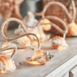 10 Seashell Fairy Lights - thumbnail 1