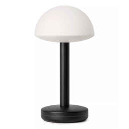 Humble Bug Table Lamp, Frosted Black