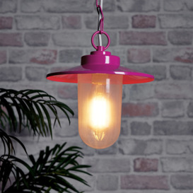 2 Pack of Vancouver 1 Light Outdoor Lantern Pendants - Pink - thumbnail 2