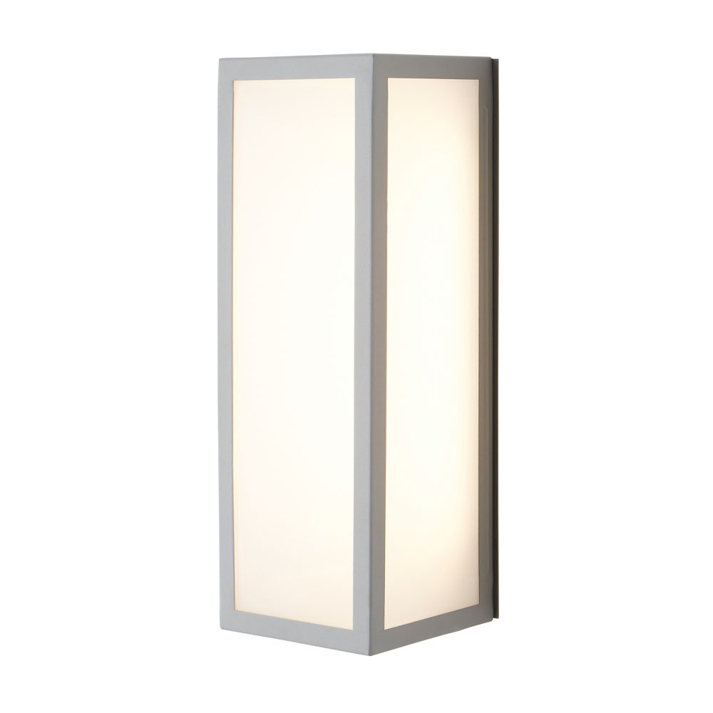 Pictor Opal Glass Panel Outdoor Wall Light - Silver - image 1