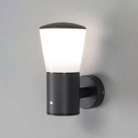 Altair 1 Light Outdoor Wall Light with Photocell Sensor - Anthracite - thumbnail 2