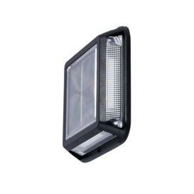 Delonix Outdoor Solar LED Ground Light - Black