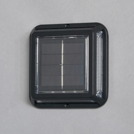 Delonix Outdoor Solar LED Ground Light - Black - thumbnail 3