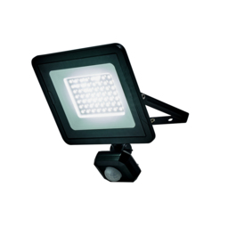 Fergus Outdoor 30 Watt LED Flood Light with PIR Sensor - Black