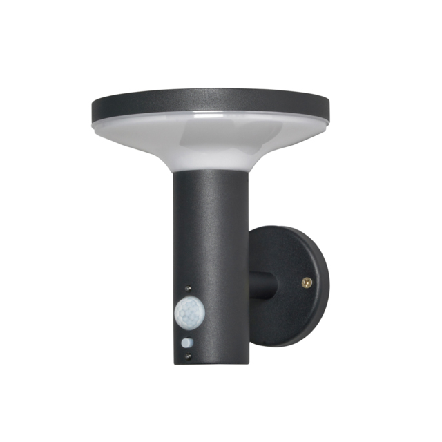 Uris Outdoor Solar LED Wall Light with PIR Sensor - Black - image 1