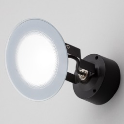 Wallis 12 Watt Outdoor LED Spike, Spot or Wall Light - Black - thumbnail 2