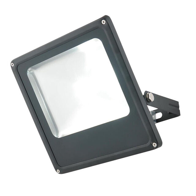 Cordelia Medium 1 Light Outdoor LED Slimline Flood Light - Black - image 1