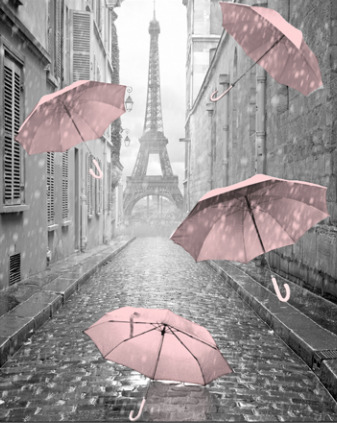 CY266 Parisienne Street Light Pink Umbrella - 50x40 / Black Venice / Liquid Art