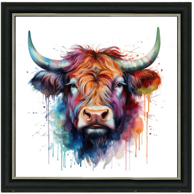 AN1540 HIGHLAND COW COLOUR SPLASH - image 1