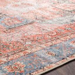 Elegant Amelie Traditional Washable Rug - thumbnail 3
