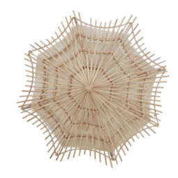 Lark Wall Light – Medium